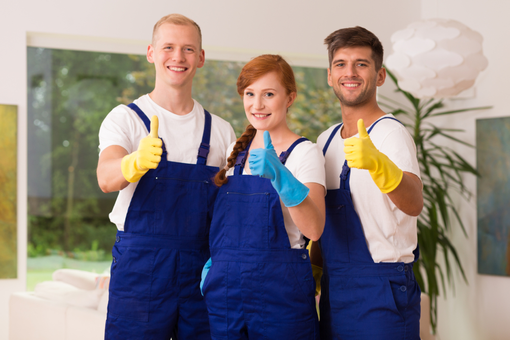 House Cleaning